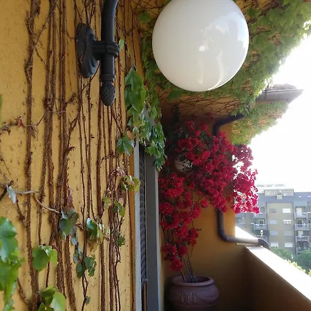 Tribunale Bed & Breakfast